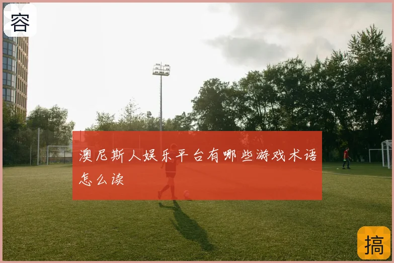 澳尼斯人娱乐平台有哪些游戏术语怎么读