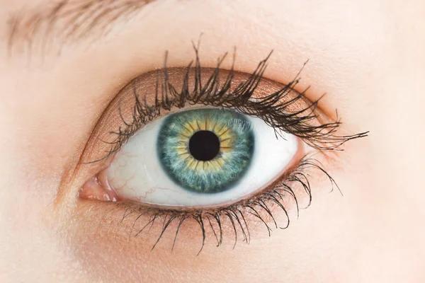 Schedule Your Clarity Find a Top-Tier Eye Doctor Near You in Houston